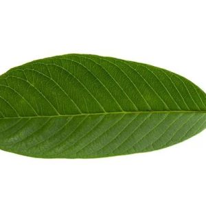 Is Kratom Legal in California? Understanding State Laws